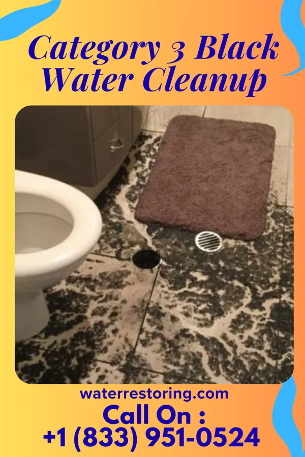 Category 3 Black Water Cleanup in Fargo, OK